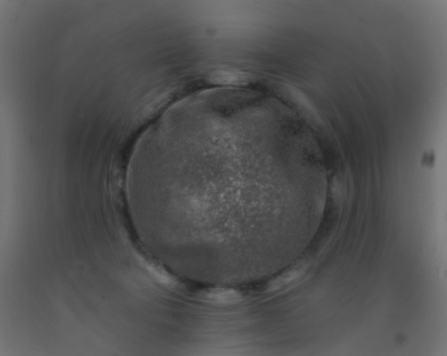 X0000092300322200709281331