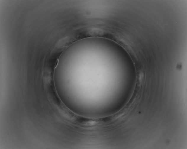 X0000092300323200709281331