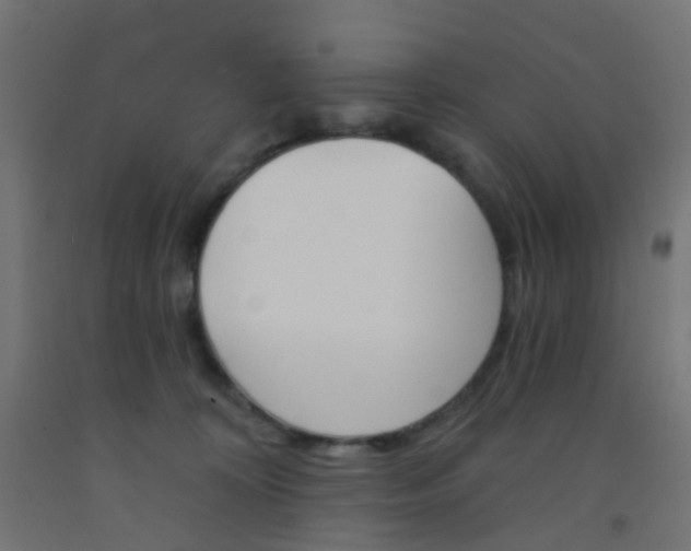 X0000092300324200709281331