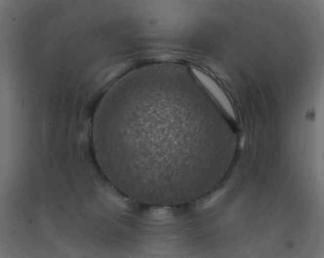 X0000092300325200709281331