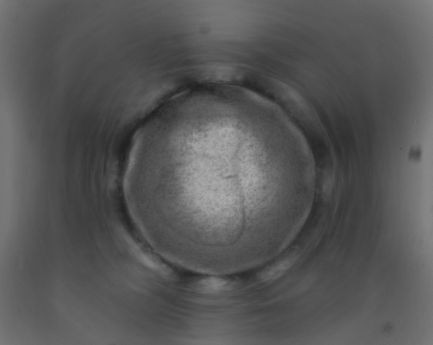 X0000092300326200709281331