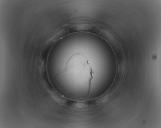 X0000092300327200709281331