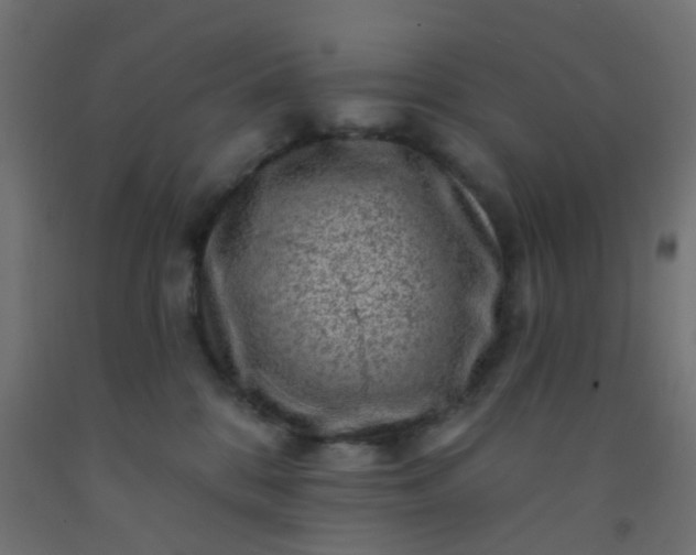 X0000092300328200709281331