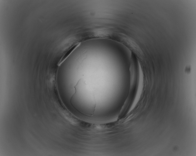 X0000092300329200709281331