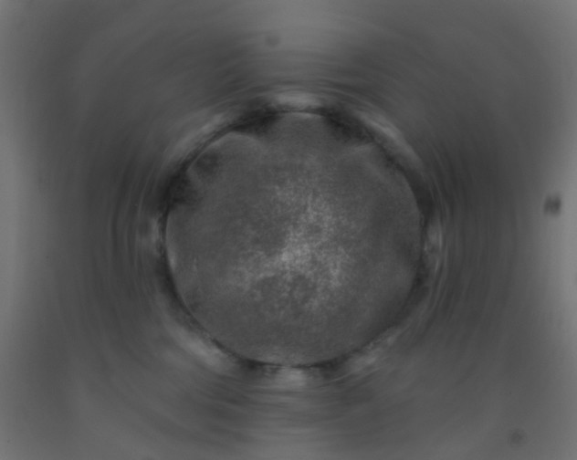 X0000092300330200709281331