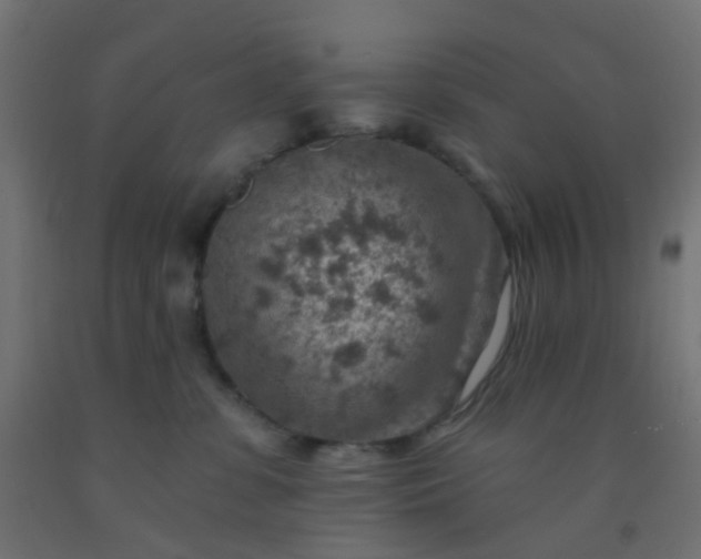 X0000092300331200709281331