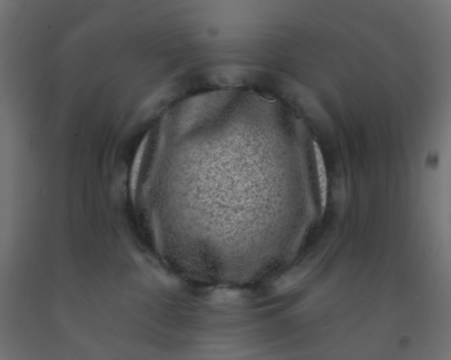 X0000092300332200709281331