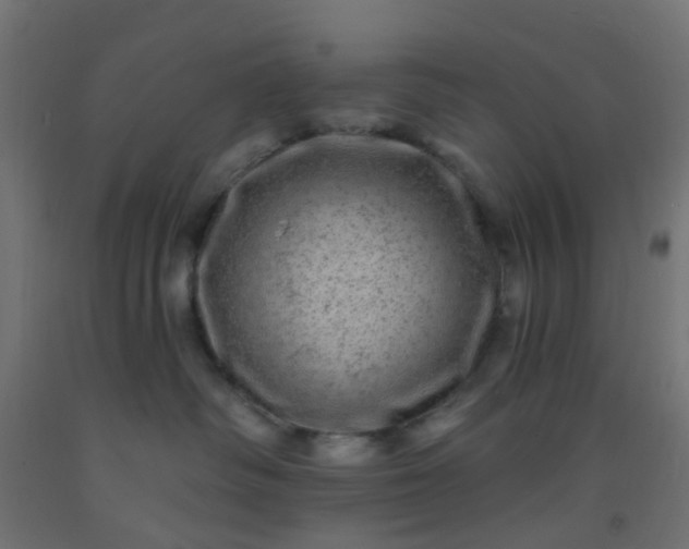 X0000092300334200709281331