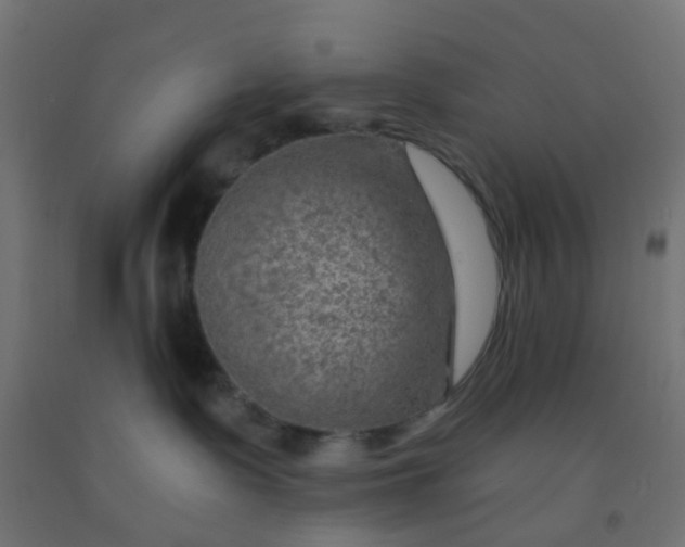 X0000092300335200709281331