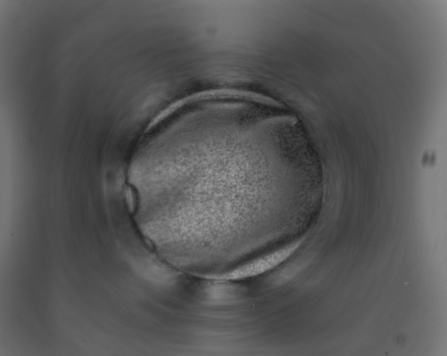 X0000092300336200709281331