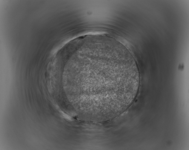 X0000092300337200709281330