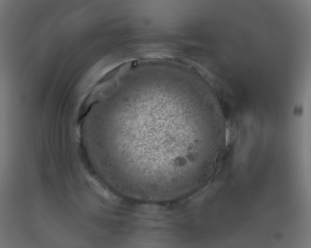 X0000092300339200709281330