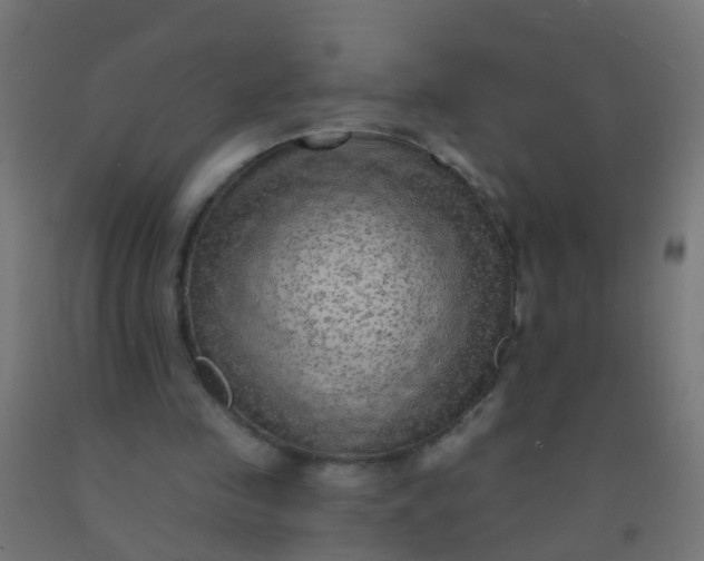 X0000092300341200709281330