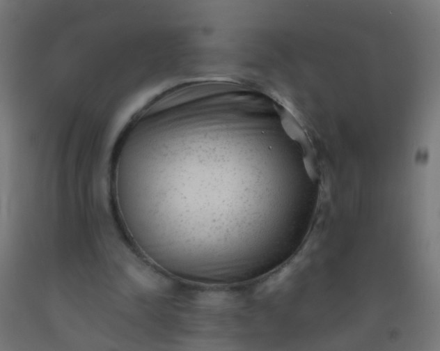 X0000092300342200709281331