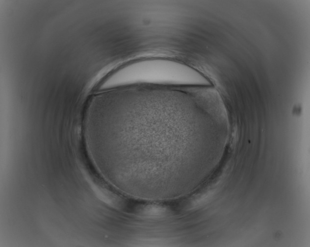 X0000092300348200709281331