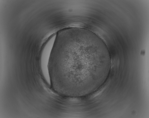 X0000092300349200709281331