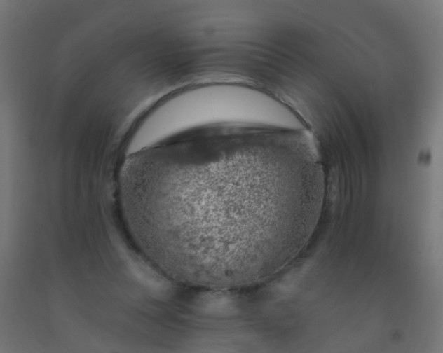 X0000092300351200709281331