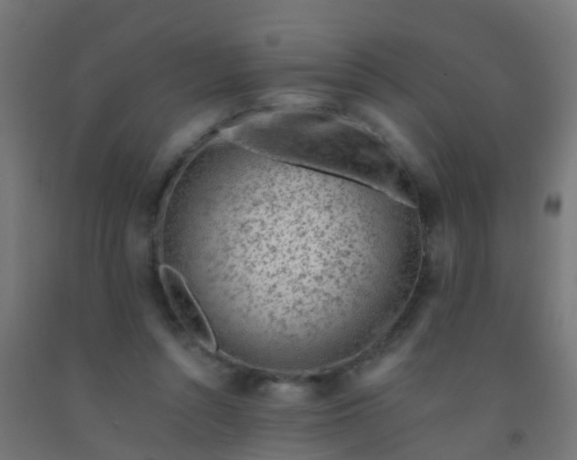 X0000092300352200709281331