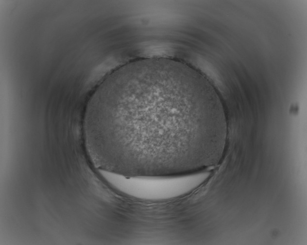 X0000092300353200709281331