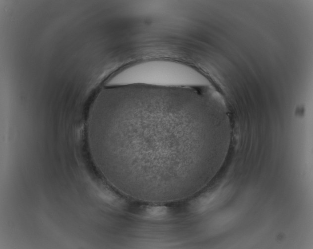 X0000092300355200709281331