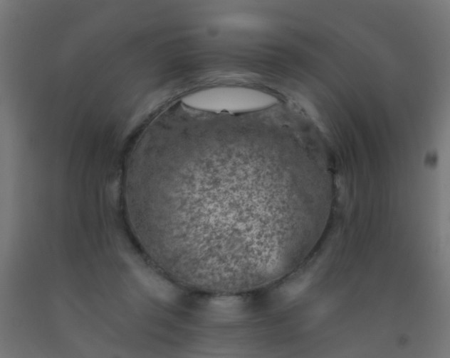 X0000092300357200709281331