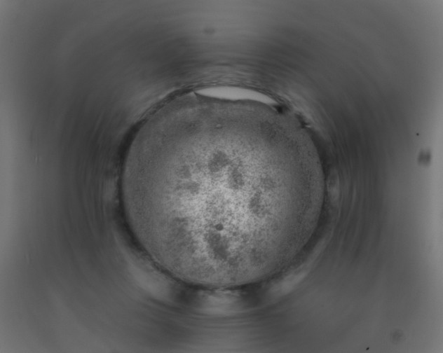 X0000092300359200709281331