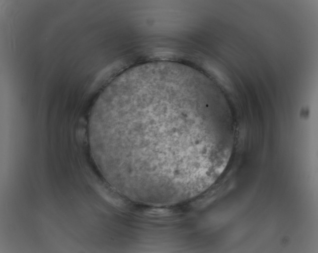 X0000092300361200709281331