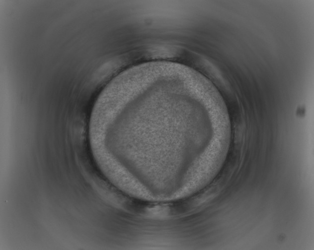 X0000092300362200709281331