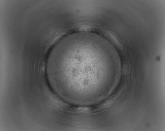 X0000092300363200709281331