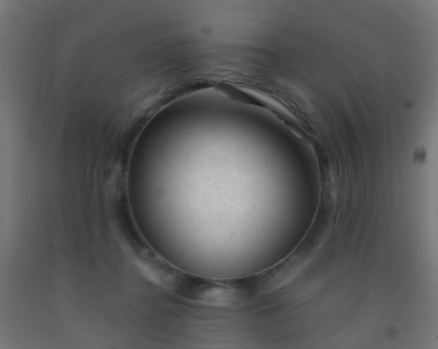 X0000092300364200709281331