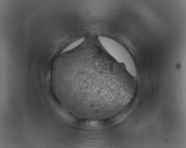 X0000092300365200709281331