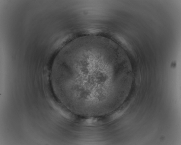 X0000092300366200709281331