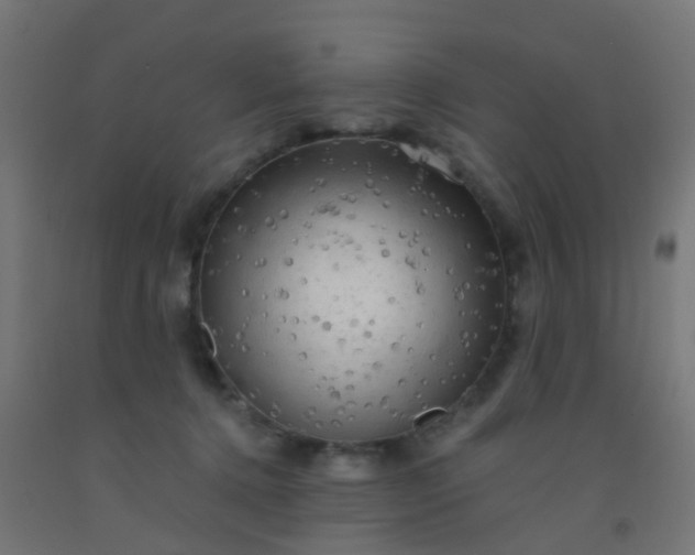 X0000092300368200709281331