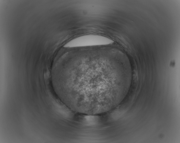 X0000092300371200709281331