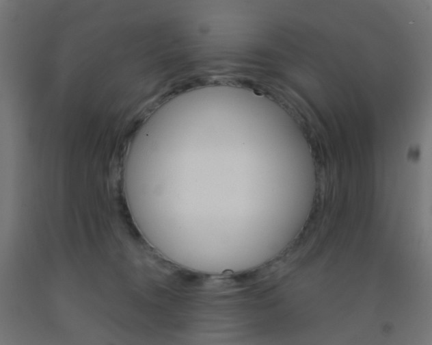 X0000092300372200709281331