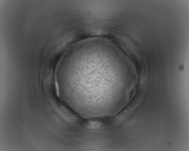 X0000092300376200709281331