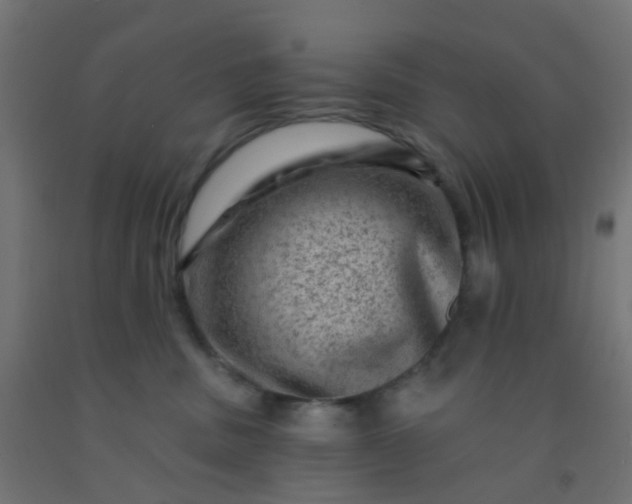 X0000092300379200709281331