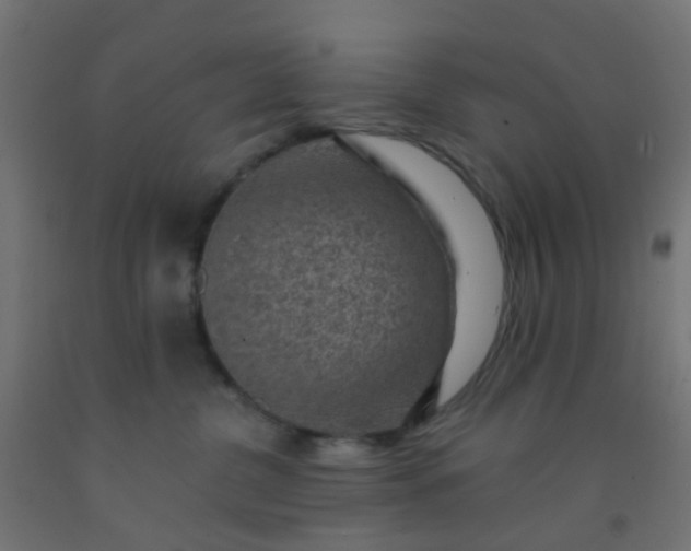 X0000092300380200709281331