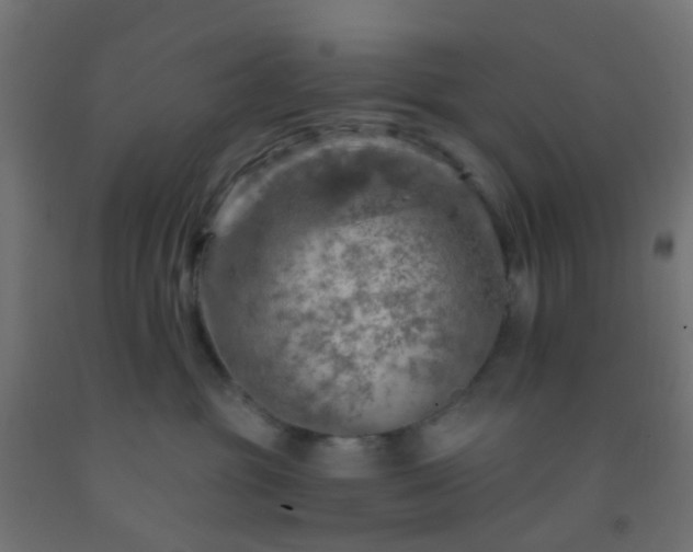 X0000092300381200709281331