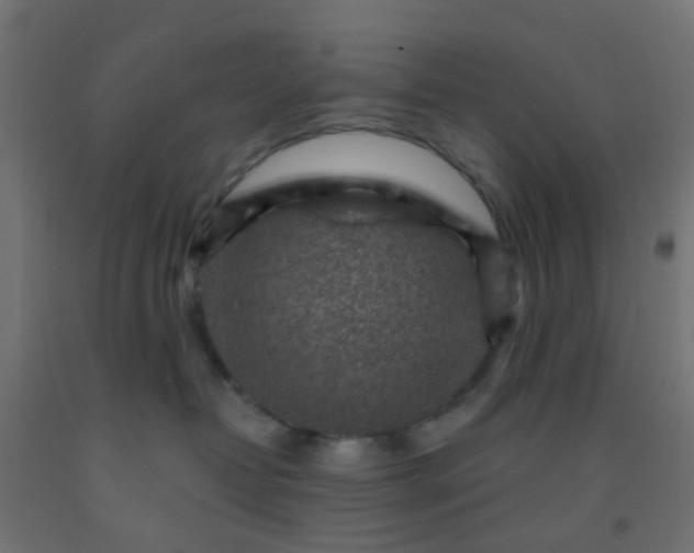 X0000092300382200709281331