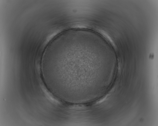 X0000092300386200709281330