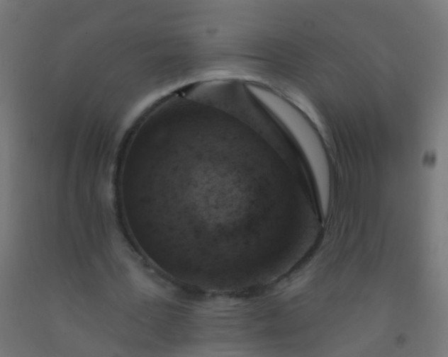 X0000092300387200709281330