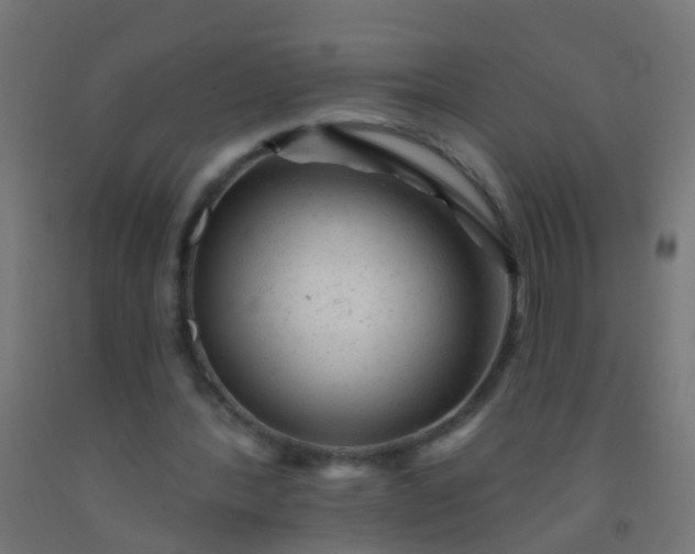 X0000092300388200709281330