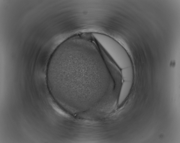 X0000092300389200709281330