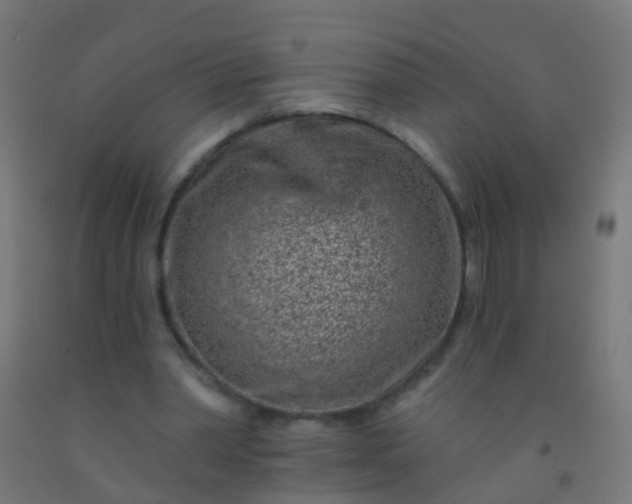 X0000092300390200709281330