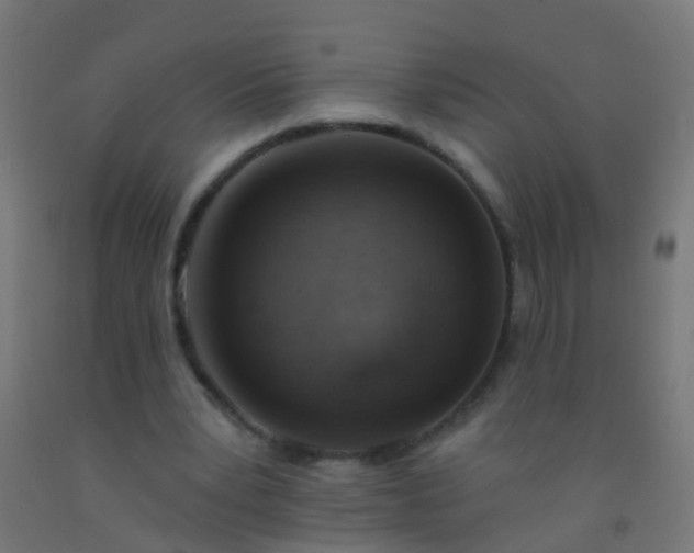 X0000092300391200709281330