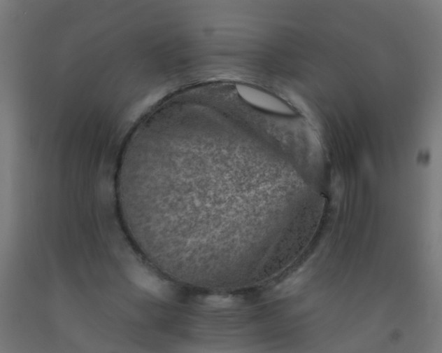 X0000092300394200709281330