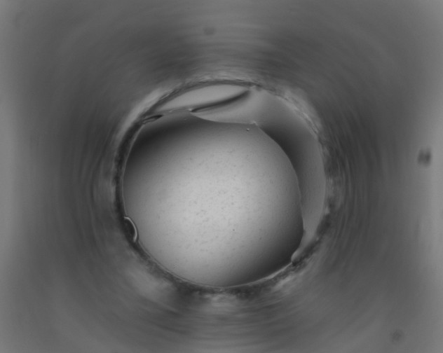 X0000092300395200709281330