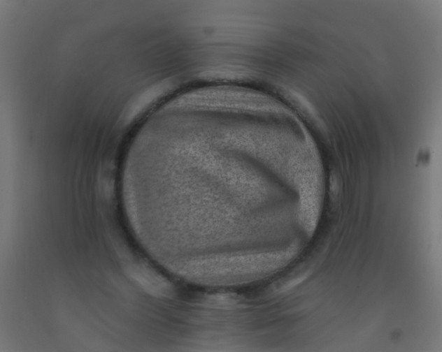 X0000092300396200709281330