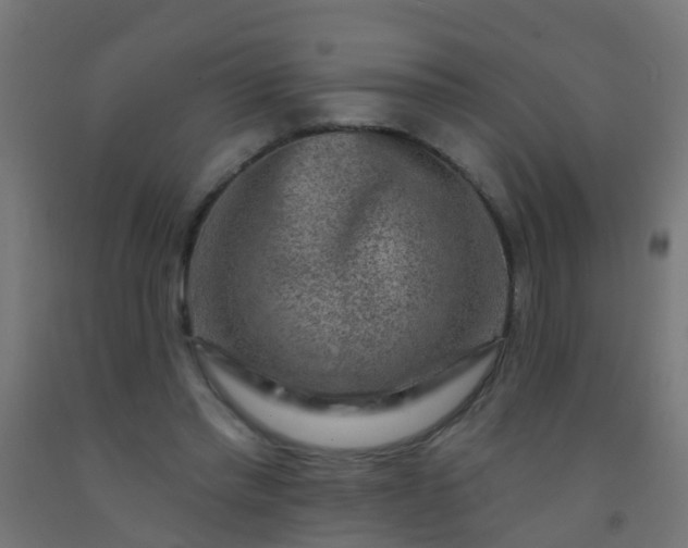 X0000092300397200709281330